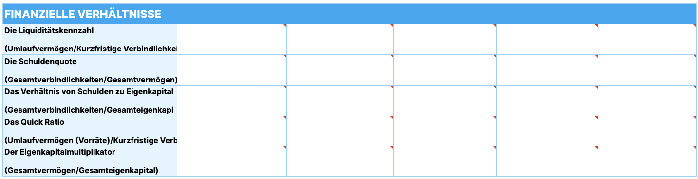 Balance Sheet Template instructions 5