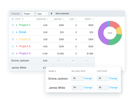 Summary report showing earnings, costs, and profit