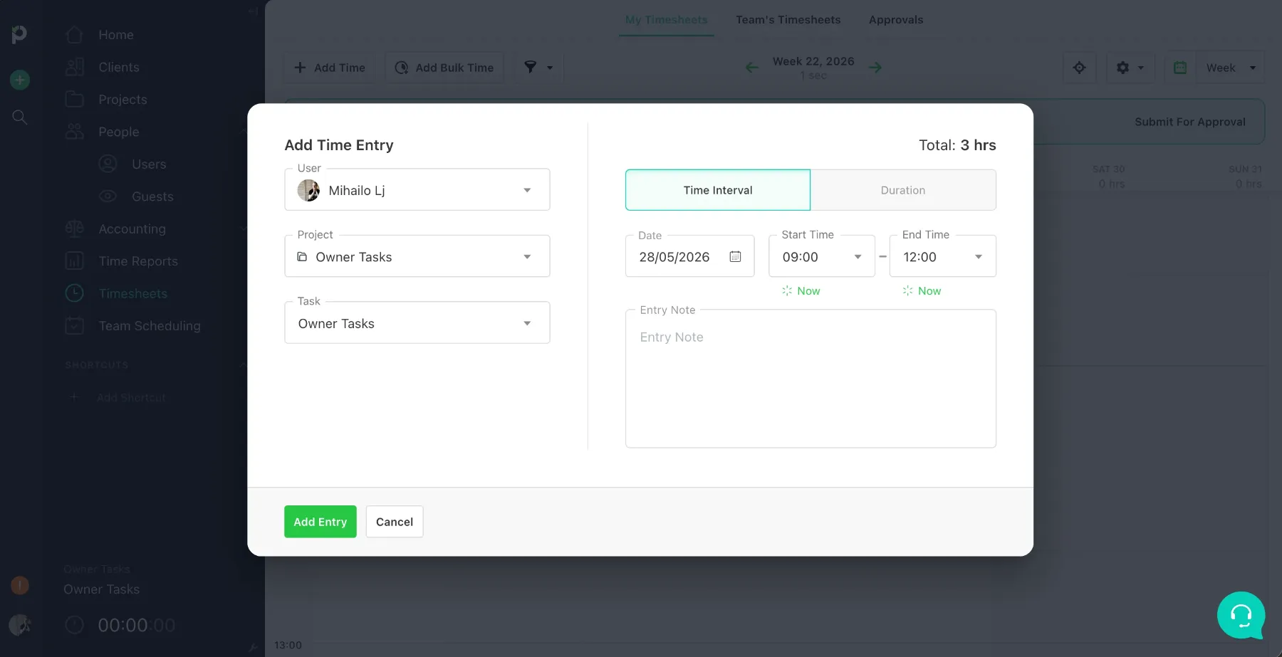 Manual time entries in Paymo