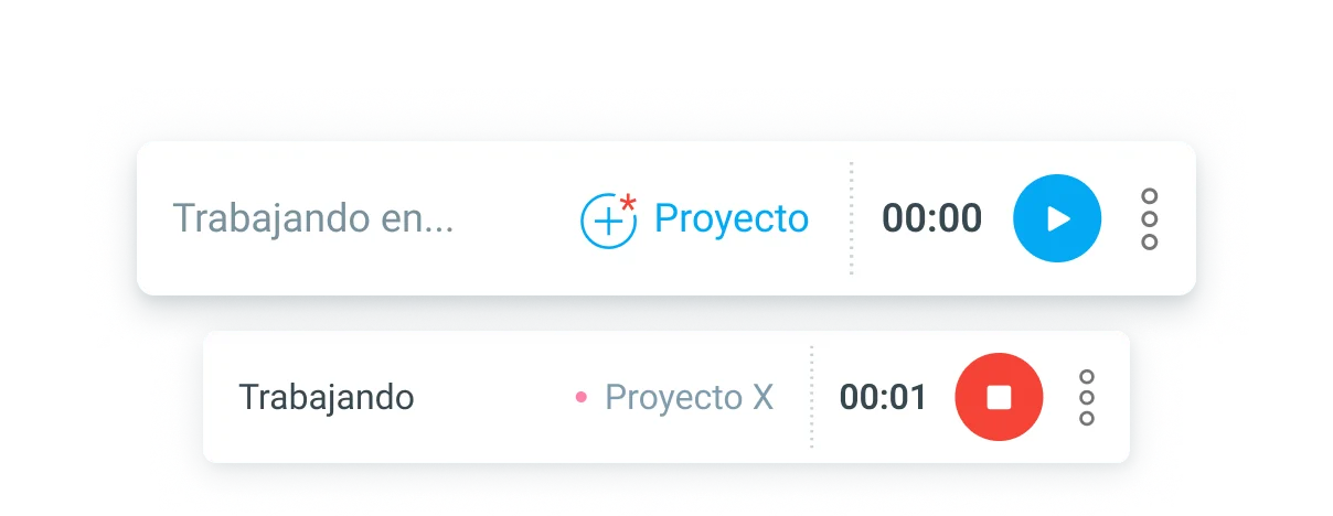 Detalles de la entrada de tiempo
