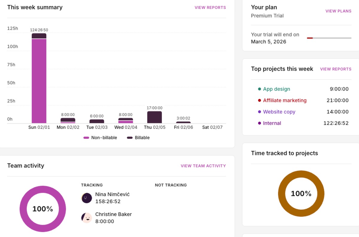 Overview in Toggl Track