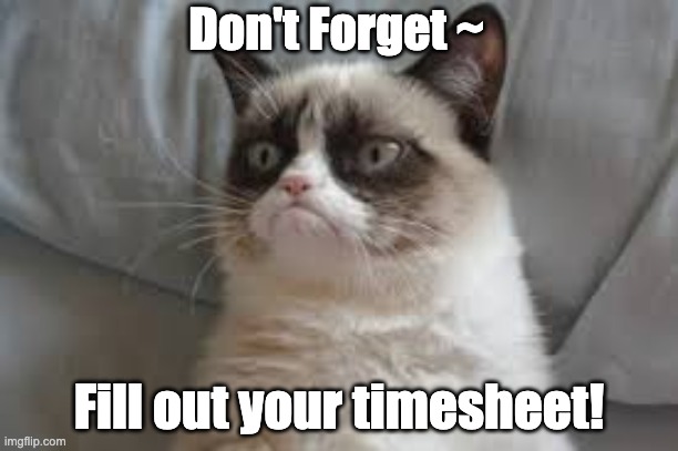 27 Don't forget to fill out your timesheet meme
