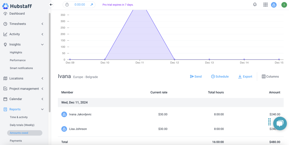 Hubstaff amounts owed report