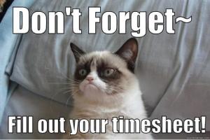 50 Best Timesheet Payroll Memes