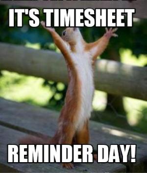 50 Best Timesheet Payroll Memes