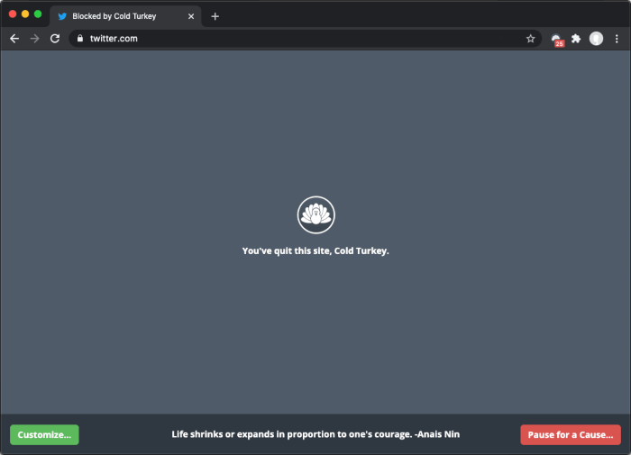Cold_Turkey_screenshot-min