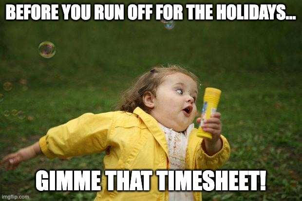 Gimme timesheet Timesheets meme