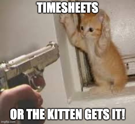 Kitten timesheet meme