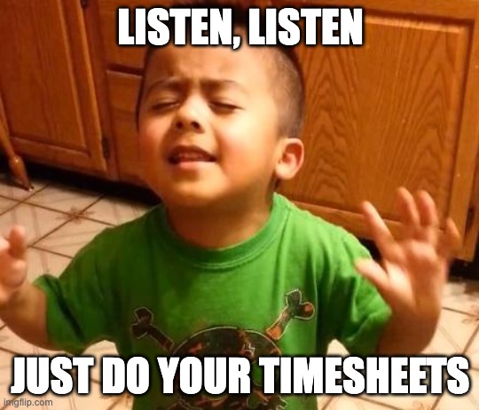 Just do your timesheet meme