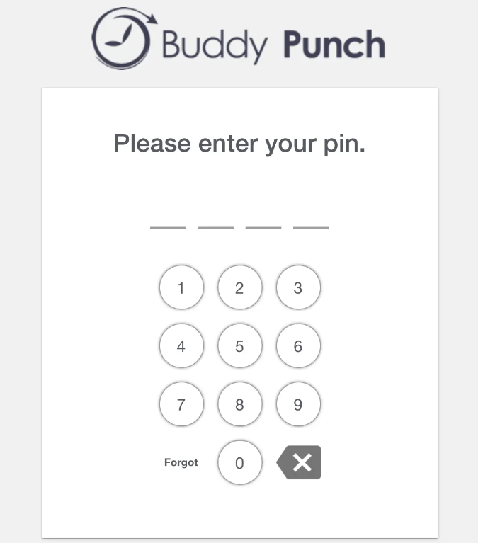 Buddy Punch PIN Input