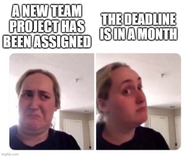 The deadline is in a month meme