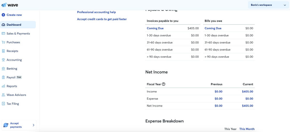 Wave Accounting Dashboard