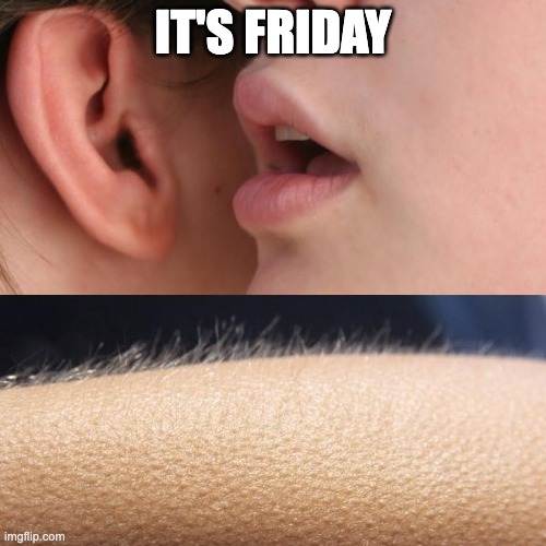 Goosebumps Friday meme