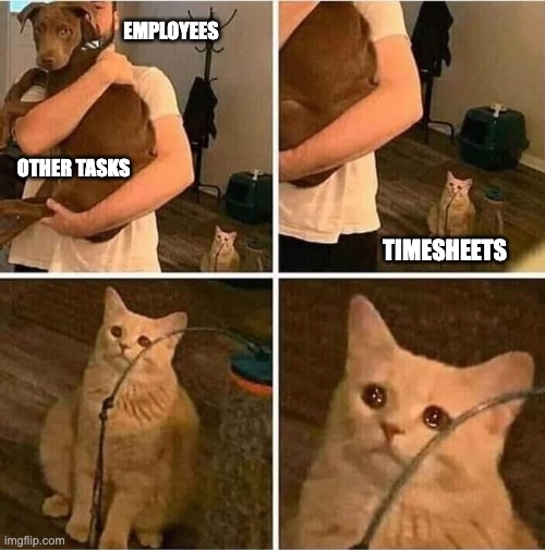 Sad cat timesheet meme
