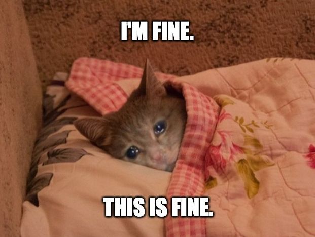 Im fine cat