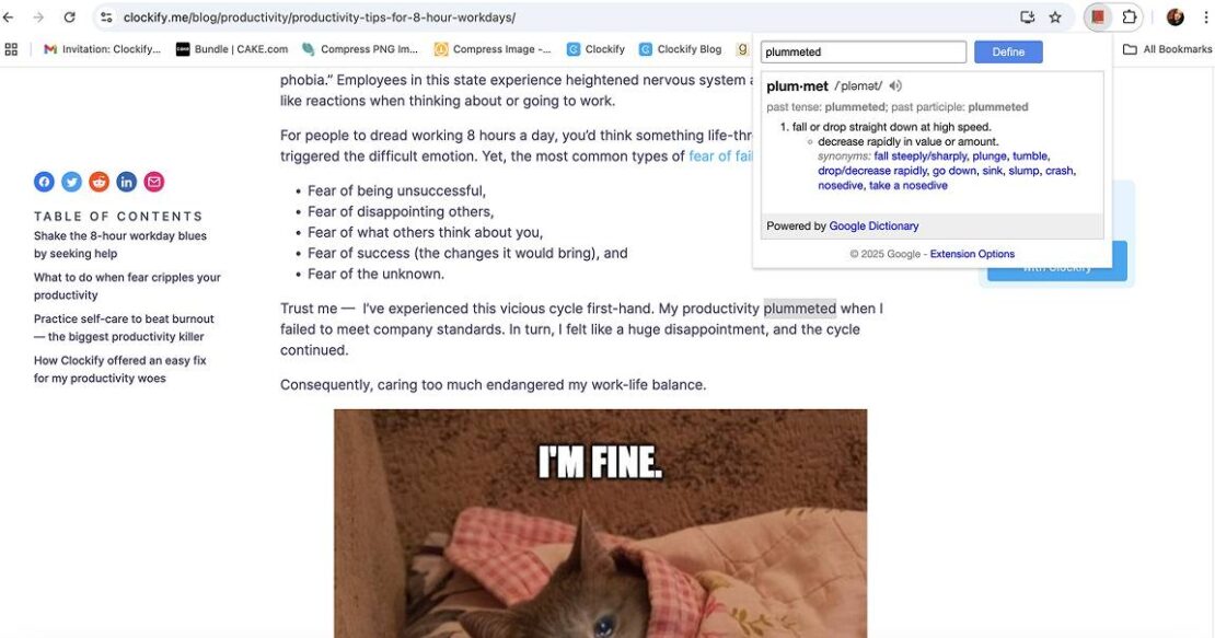 Google Dictionary extension