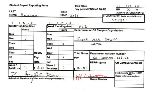 Example of a timesheet