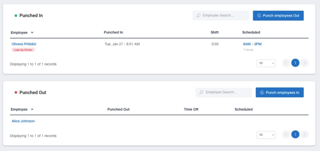 Brief overview of employees’ activities in Buddy Punch