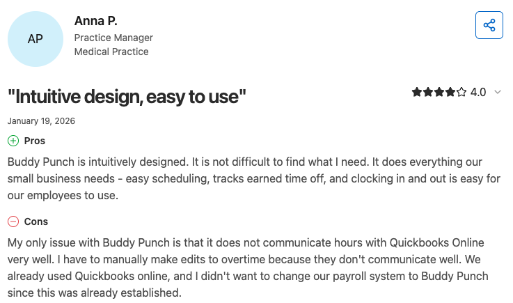Buddy Punch user review