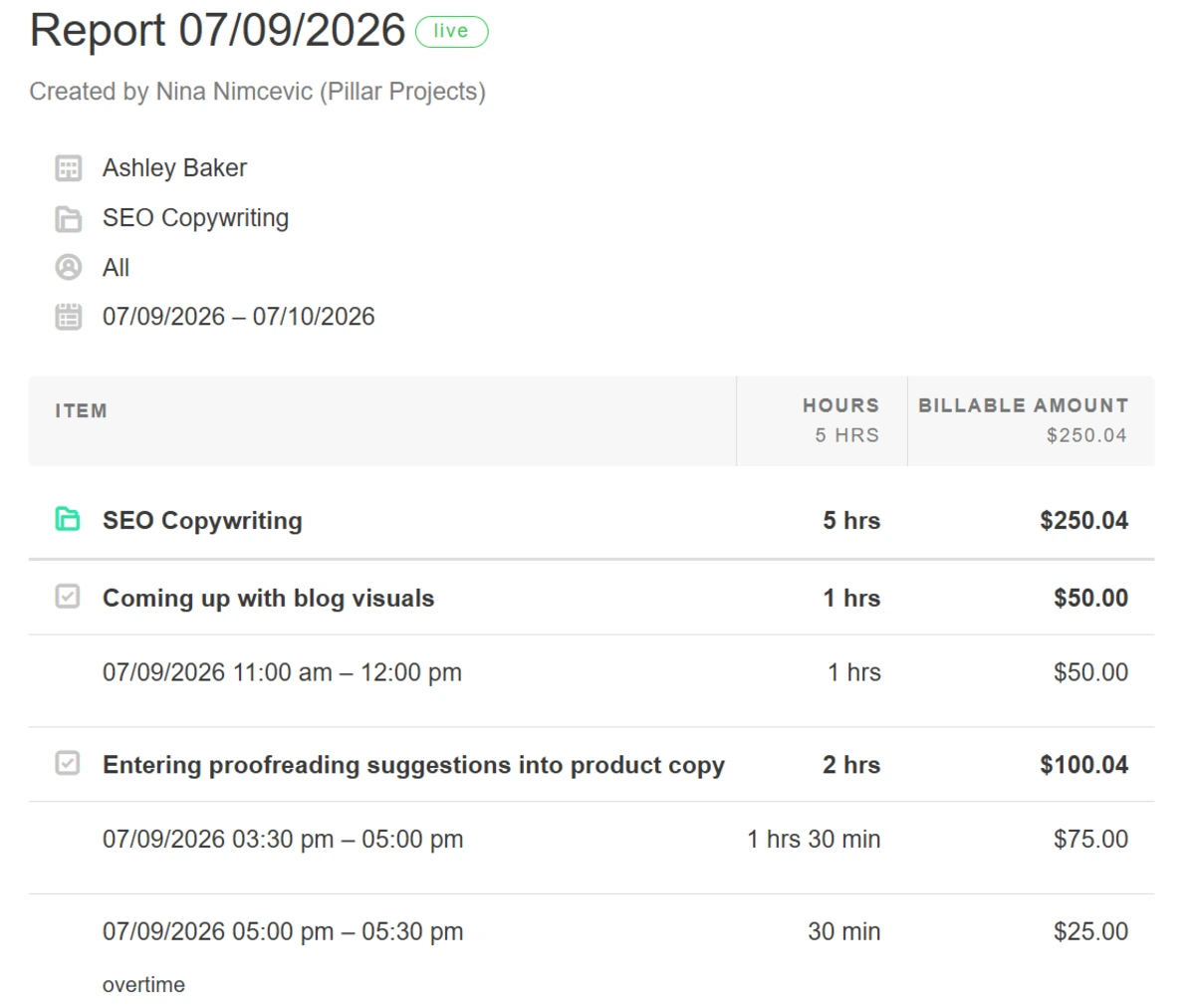 Report in Paymo